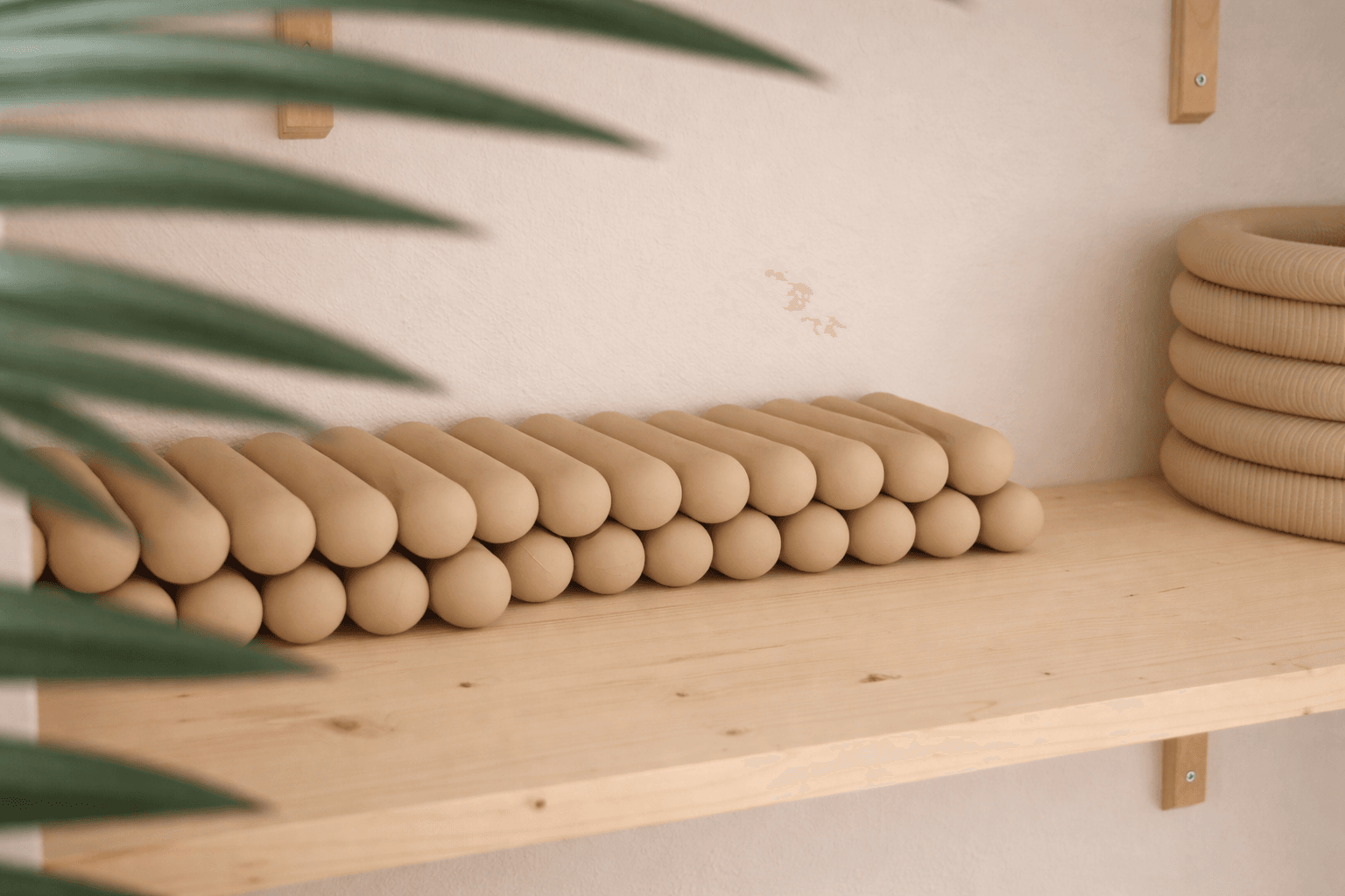 Pilates props detail